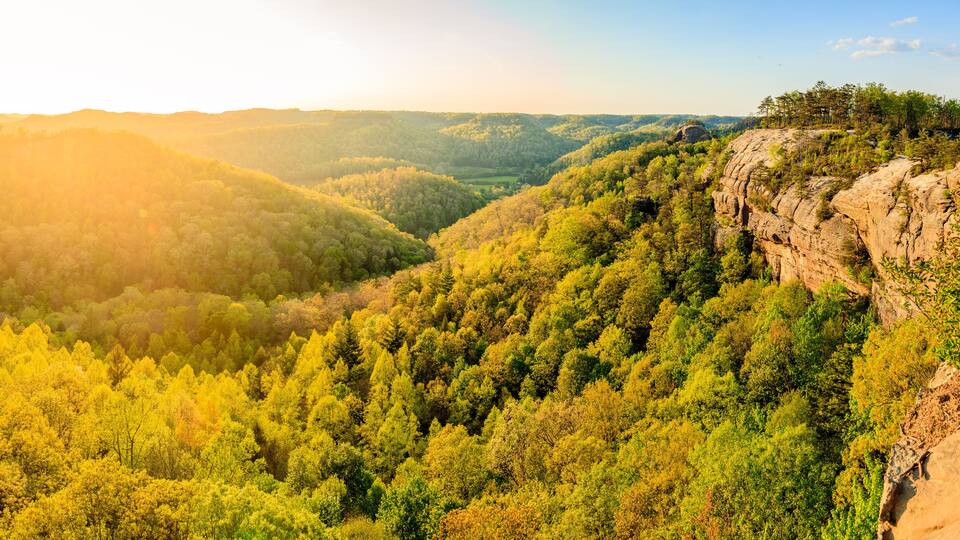 A mountainous landscape with dense forests and a rocky cliff.