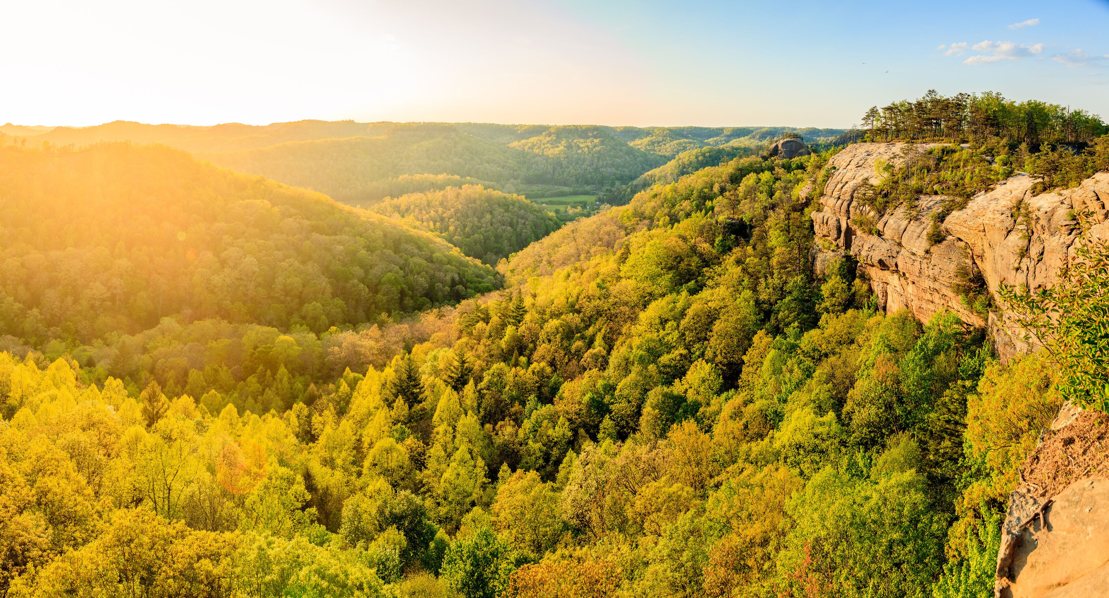 A mountainous landscape with dense forests and a rocky cliff.