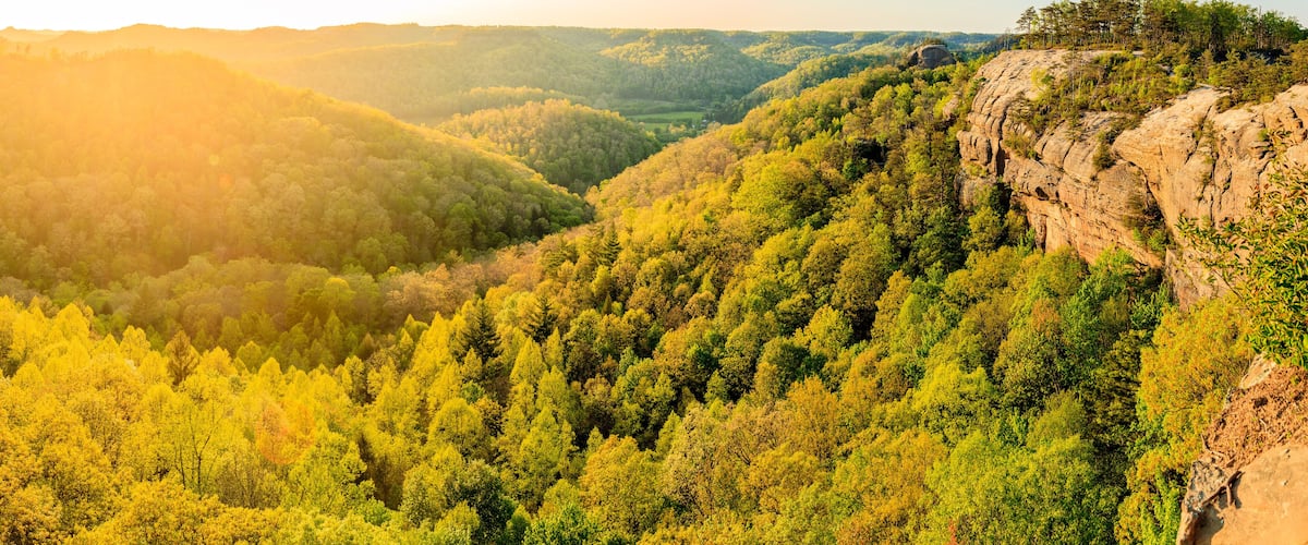 A mountainous landscape with dense forests and a rocky cliff.