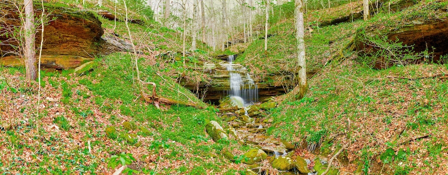 A waterfall in a forested area with rocky terrain and green foliage.