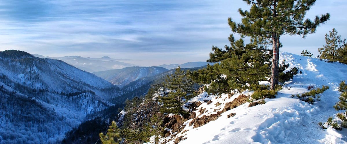 A snow-covered mountain landscape with a prominent pine tree on a ridge.