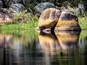 Une rivière paisible, avec de gros rochers au premier plan et une végétation luxuriante en arrière-plan.