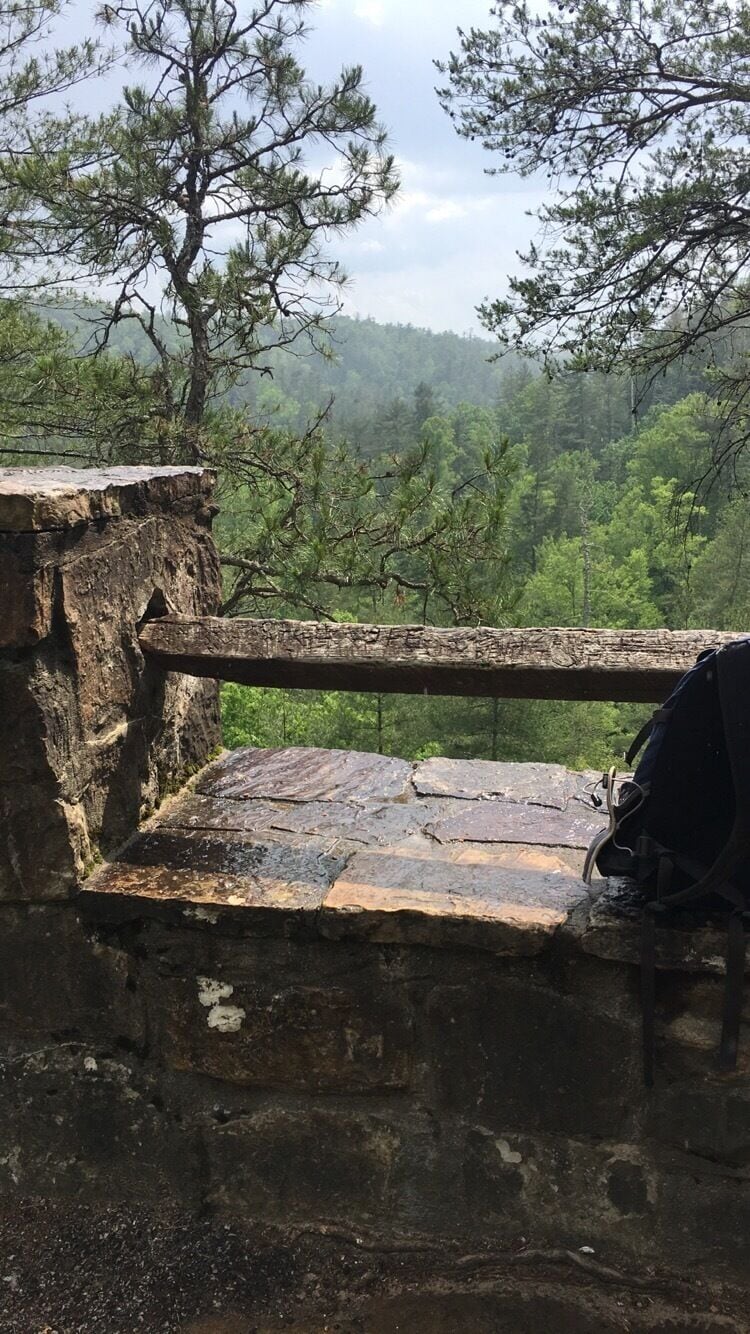 The Rock Bridge trail is an easy hike to a waterfall and rock arch near the Red River Gorge! 