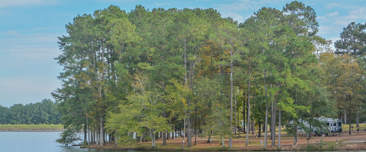 A lake with a dock, surrounded by trees and a RV park.