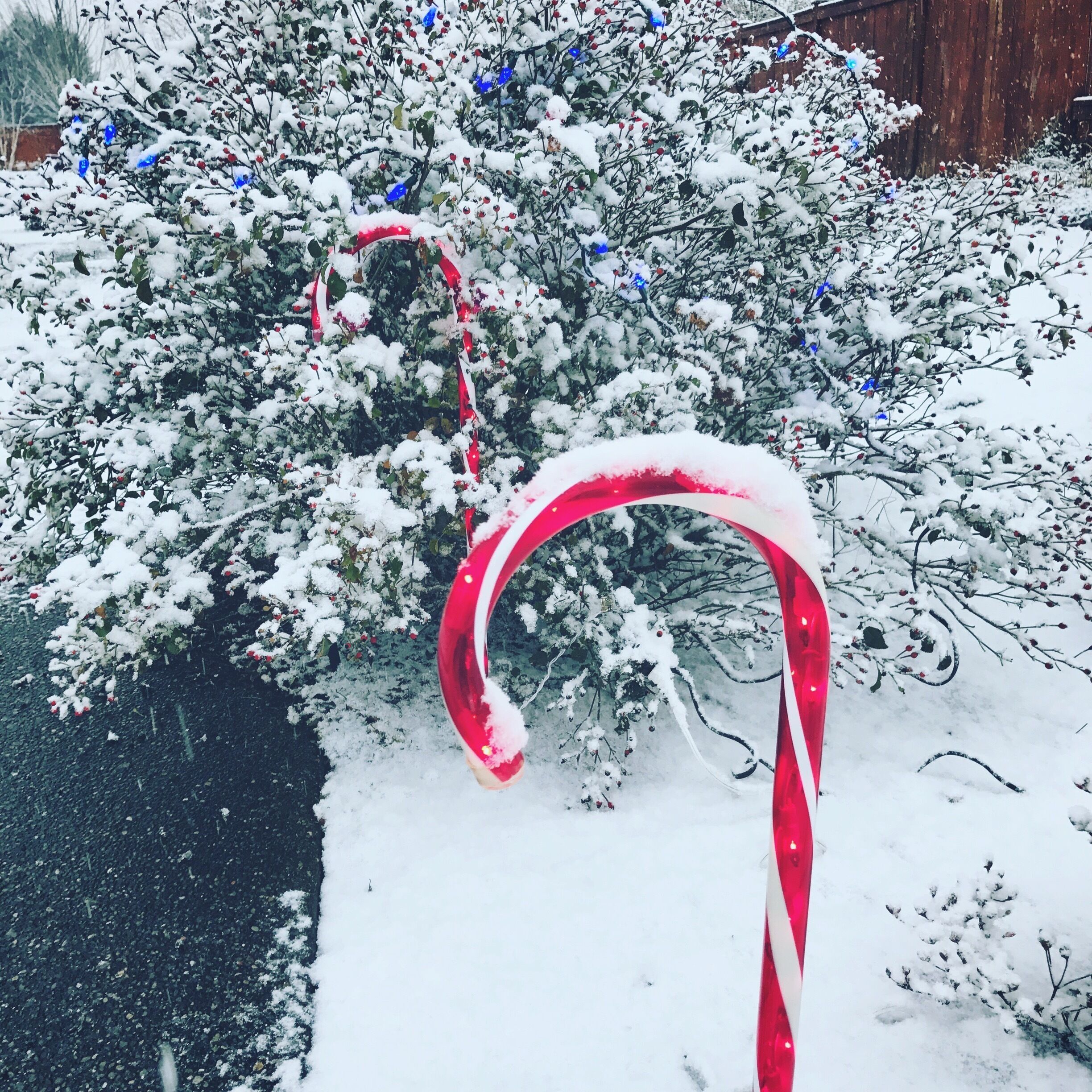 We don't usually get snow here, it was a #winterwonders treat!