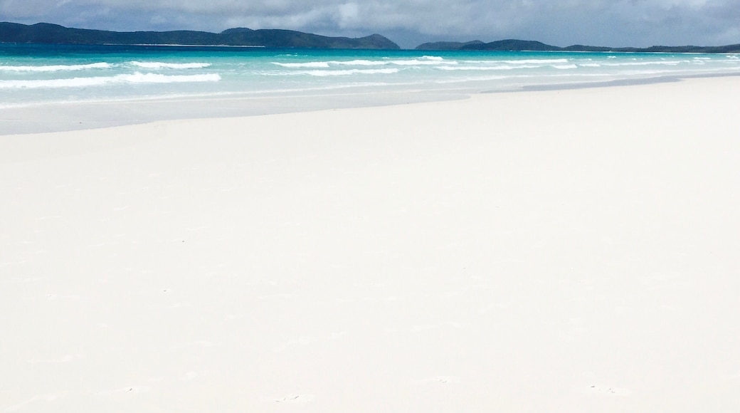 Whitehaven Beach has the whites sand and most beautiful blue green water I have ever seen! Lots of sting rays in the shallow water when the tide was out! #beachtips