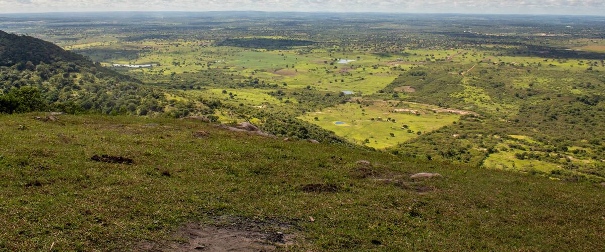 A panoramic view of a lush green valley with scattered trees and a distant mountain range under a partly cloudy sky.