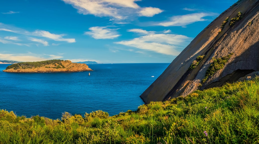 Magnificent Green Island off La Ciotat