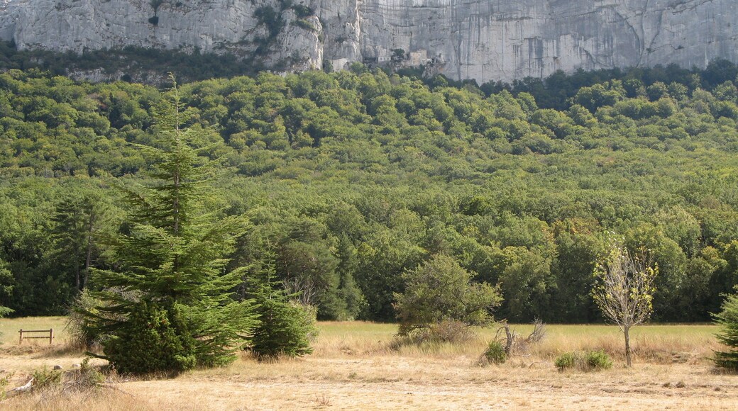 La Sainte-Baume, France