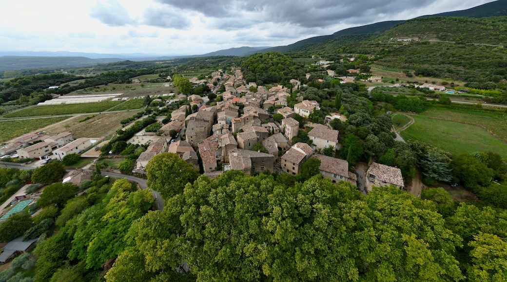 Vaugines