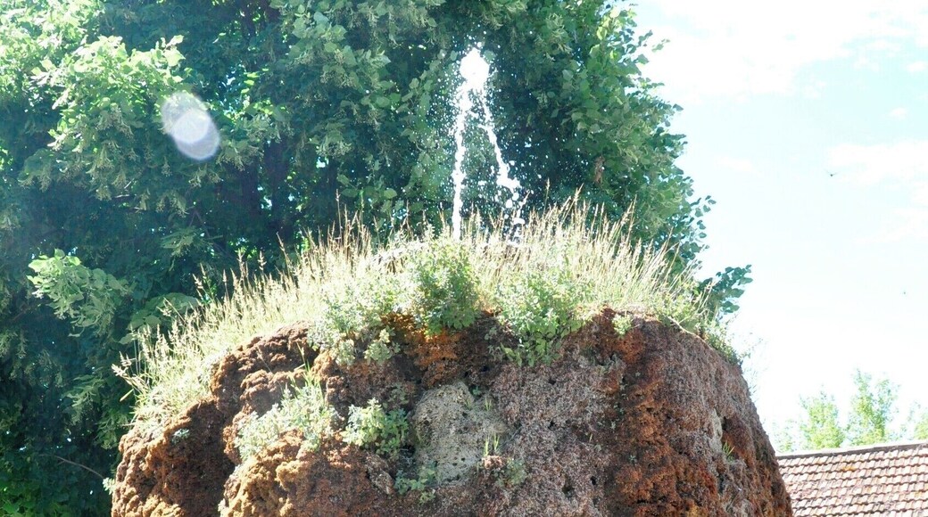 Apparently this fountain has been affected by the high calcium content of the local water, which has built up over the years to hide the original fountain itself.