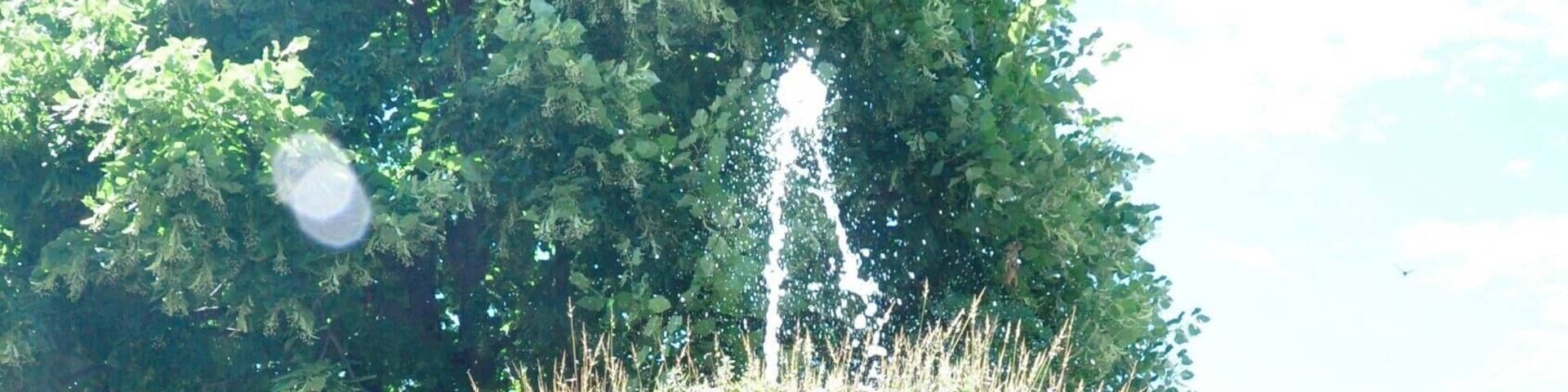Apparently this fountain has been affected by the high calcium content of the local water, which has built up over the years to hide the original fountain itself.