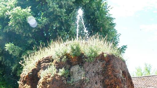 Apparently this fountain has been affected by the high calcium content of the local water, which has built up over the years to hide the original fountain itself.