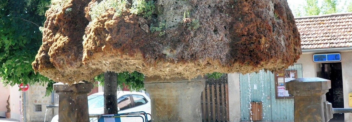 Apparently this fountain has been affected by the high calcium content of the local water, which has built up over the years to hide the original fountain itself.