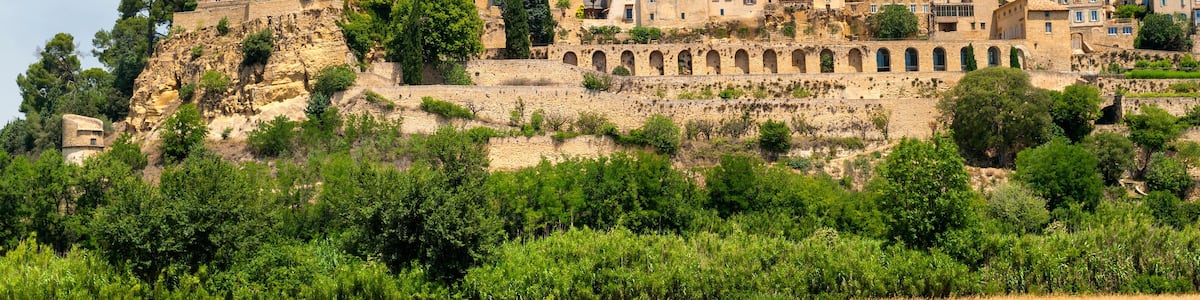 A historic town with buildings on a hillside, an arched bridge, and a field in the foreground.