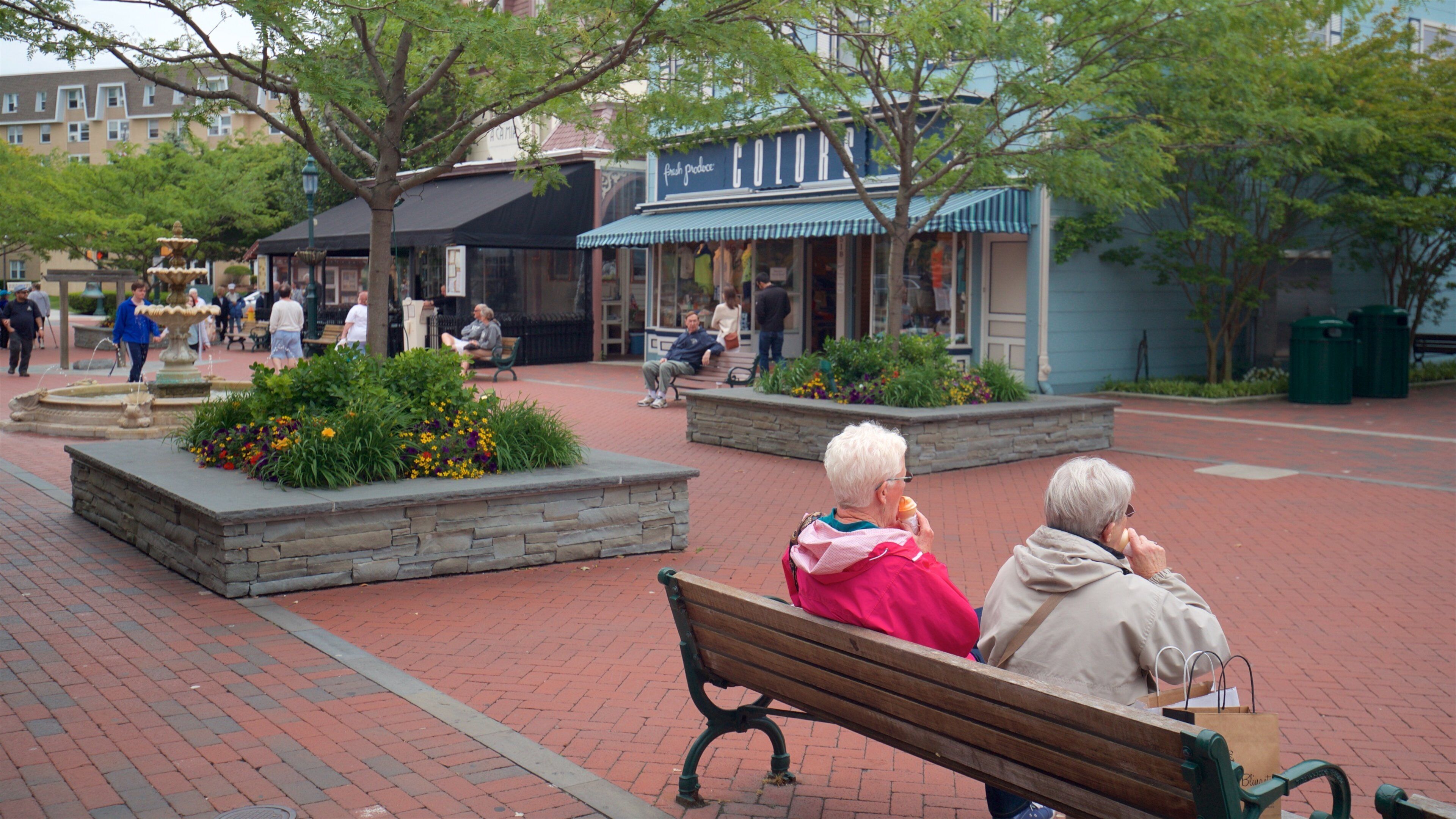 Washington Street Mall showing flowers and a small town or village as well as a couple