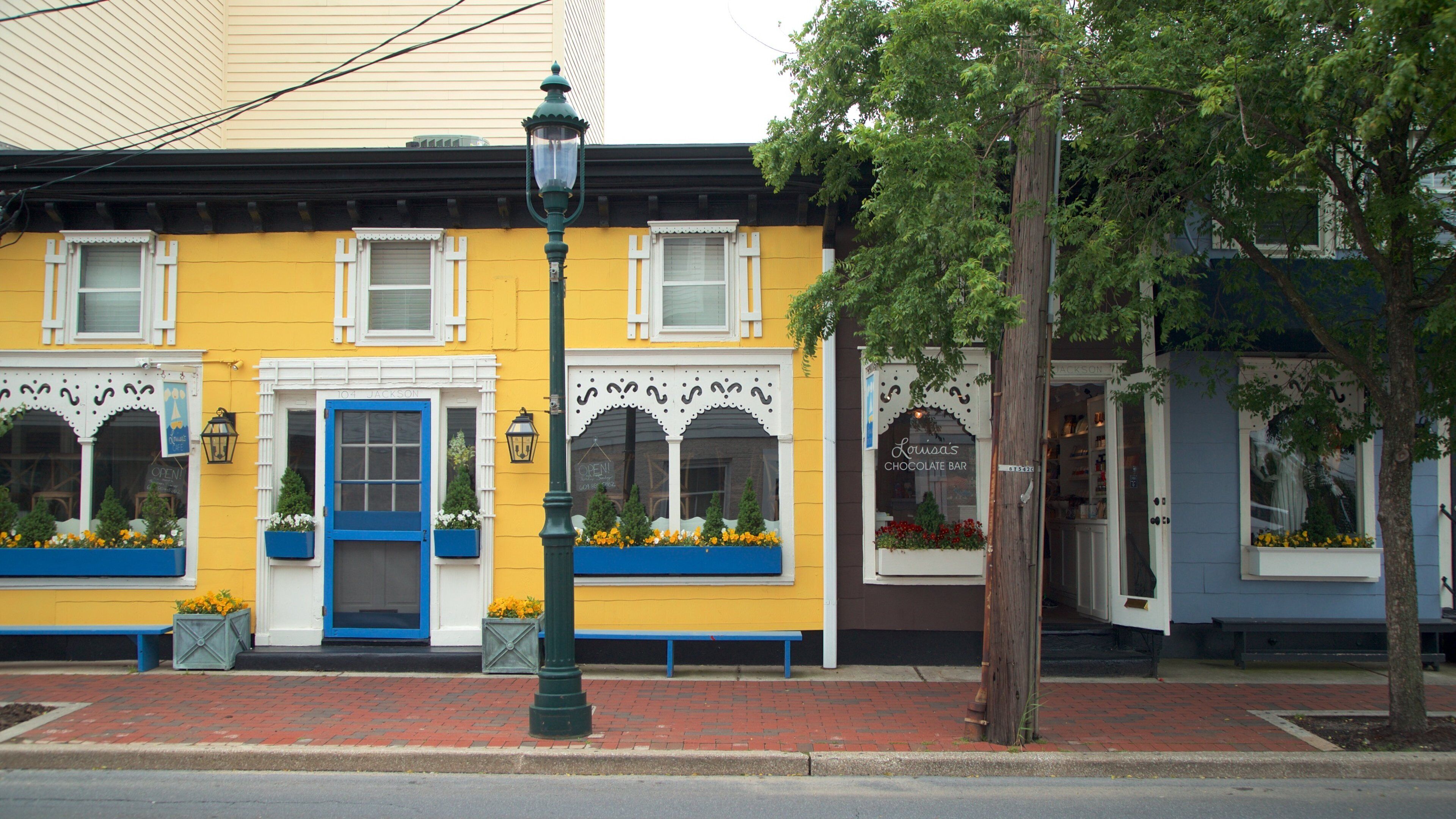 Washington Street Mall showing a small town or village