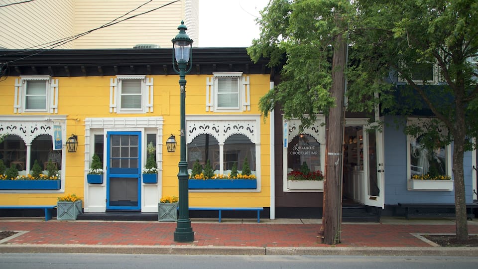 Washington Street Mall featuring a small town or village