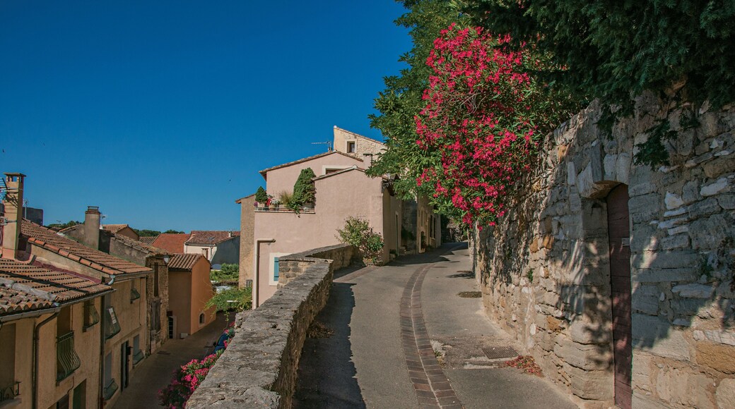 沙托納德加達格