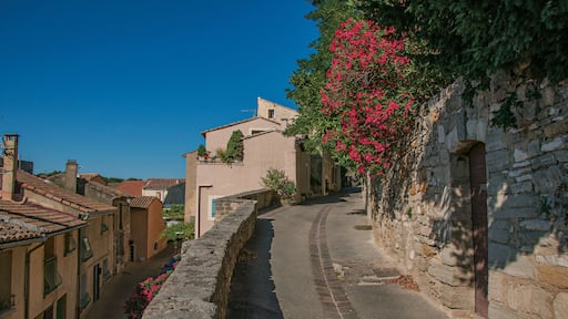 Châteauneuf-de-Gadagne