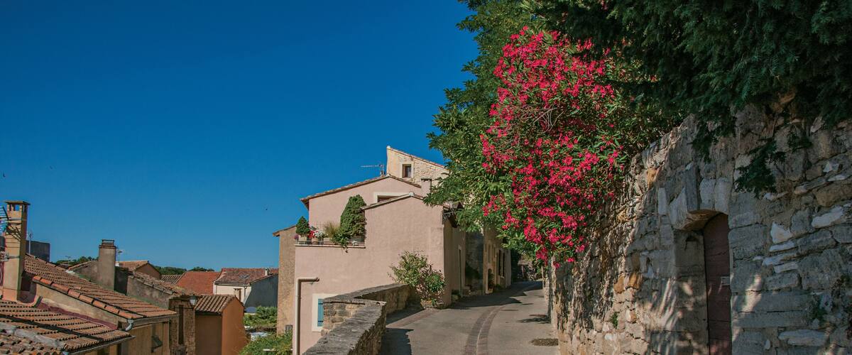 A narrow street flanked by historic stone buildings with a pink flowering tree on the right.