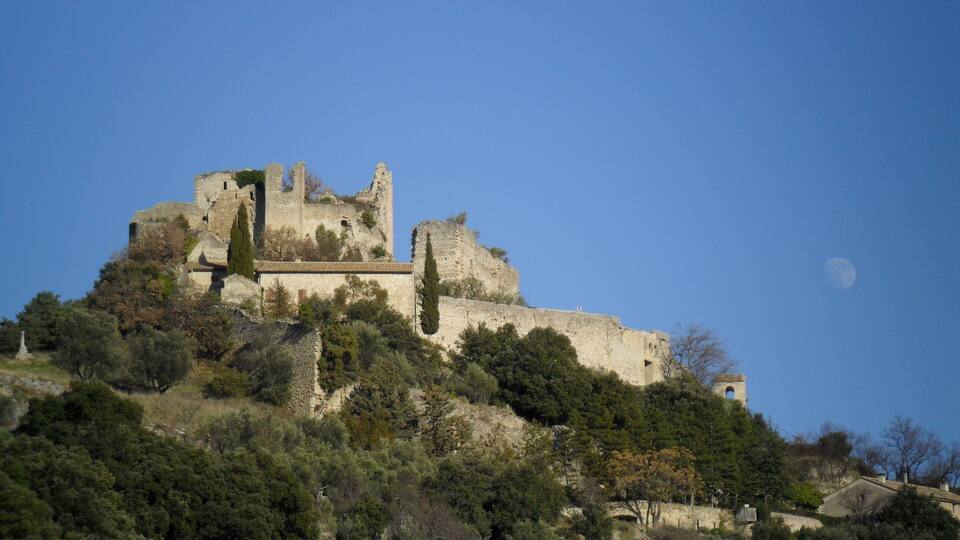 A historic castle on a hill with a clear sky and a visible moon.