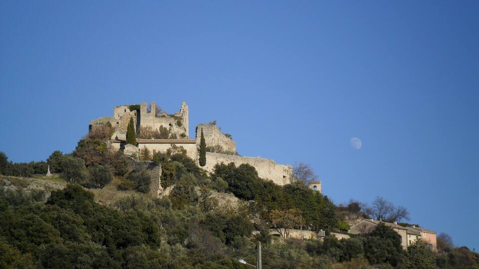 A historic castle on a hill with a clear sky and a crescent moon.