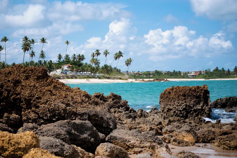A rocky shoreline with clear turquoise water, palm trees, and distant buildings.