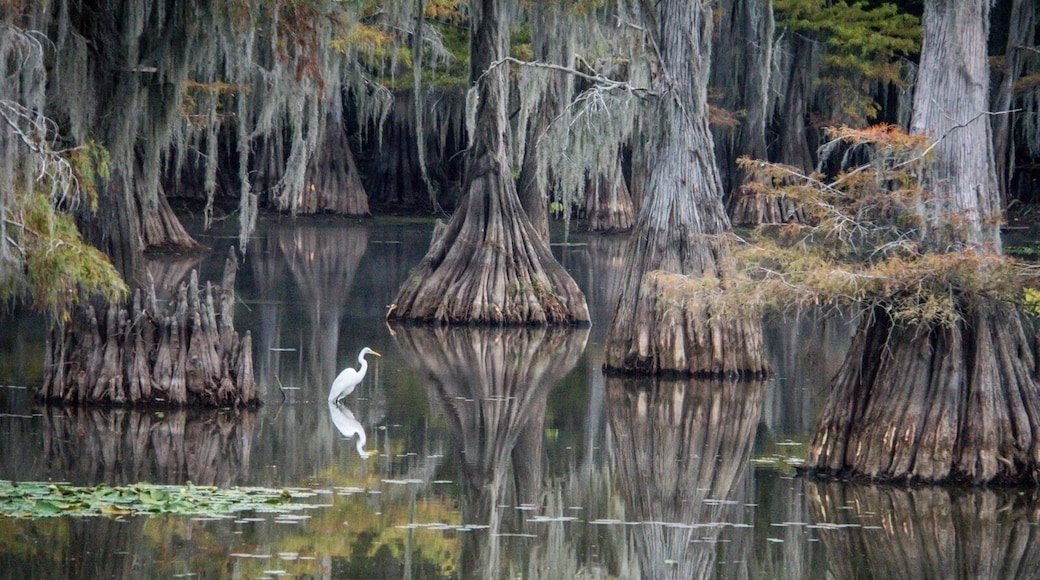 Beautiful in the Fall.