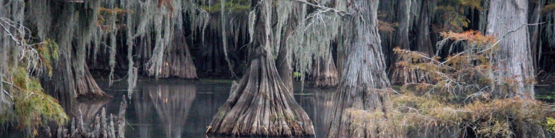 Beautiful in the Fall.