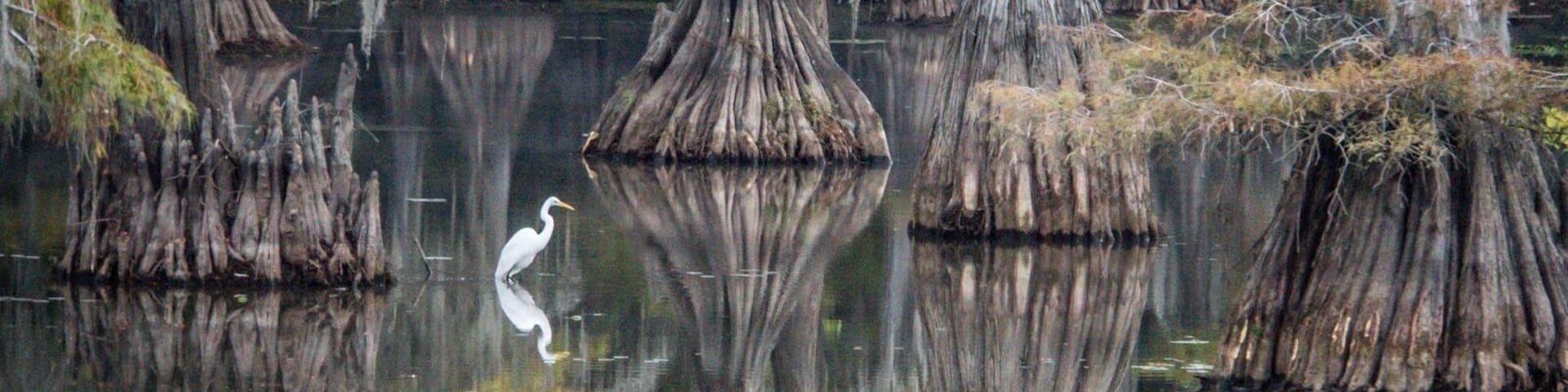 Beautiful in the Fall.