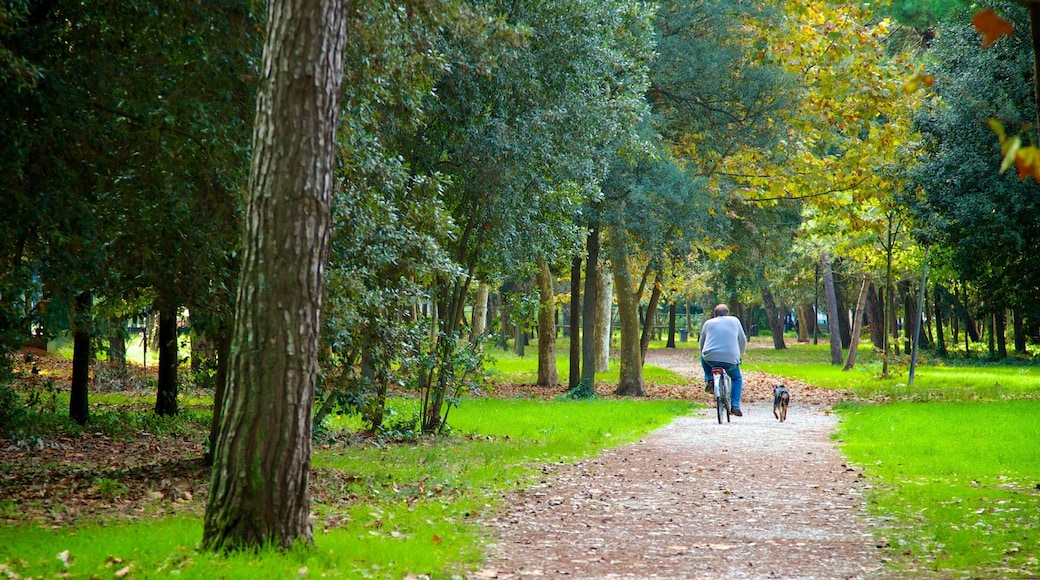 Pineta di Ponente inclusief fietsen en een park en ook een man