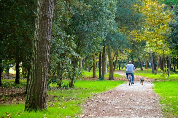 Pineta di Ponente welches beinhaltet Garten und Fahrradfahren sowie einzelner Mann