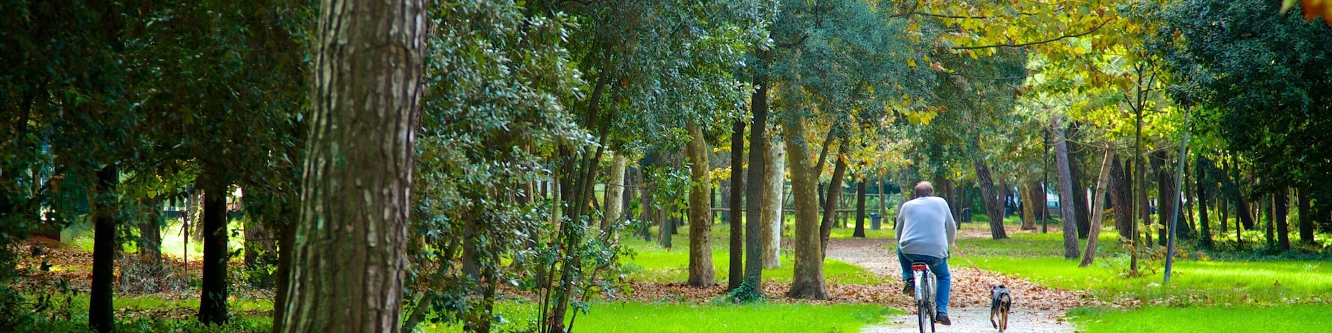 Pineta di Ponente mostrando ciclismo e um jardim assim como um homem sozinho