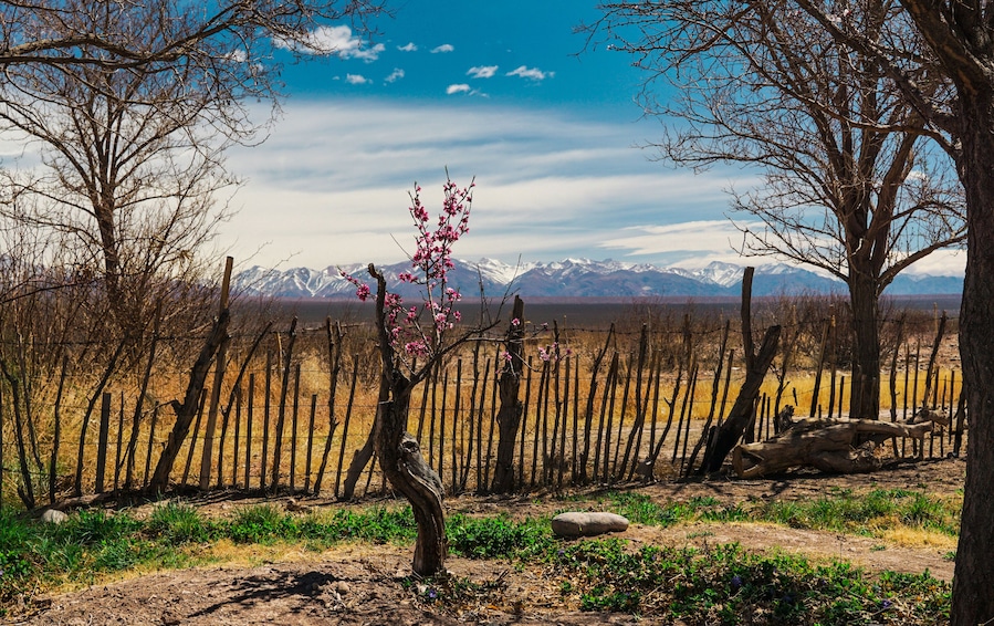 Los Andes - Barreal - San Juan - Argentina