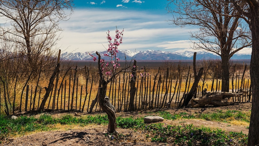 Los Andes - Barreal - San Juan - Argentina