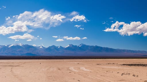 Dry river bed during a drought at El Barreal Blanco de la Pampa del Leoncito, San Juan Province, Argentina, South America, background with copy space