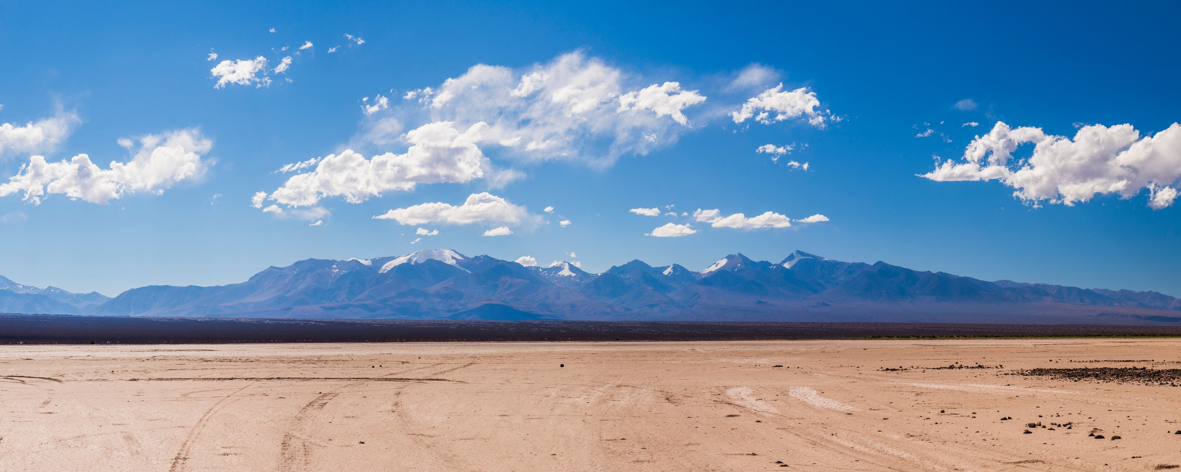 A desert landscape with a clear sky and distant snow-capped mountains.