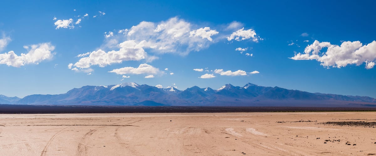 A desert landscape with a clear sky and distant snow-capped mountains.