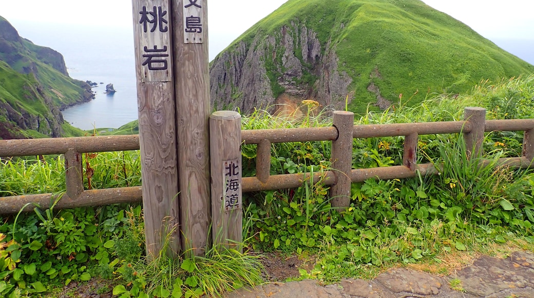 Momoiwa Observatorium