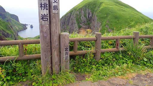 Rebun