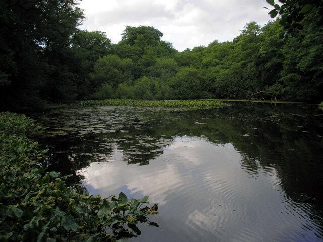 Glebe Water, Godstone, Surrey