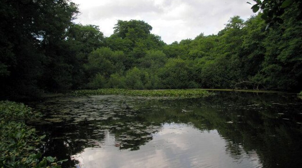Glebe Water, Godstone, Surrey