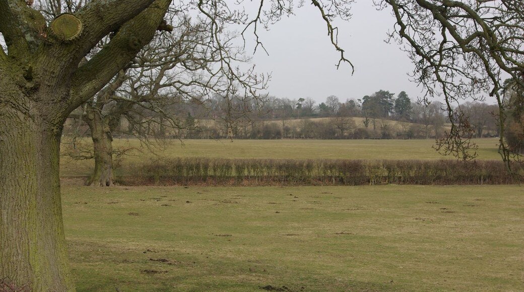 Farmland near South Godstone Farmland to the east of Tilburstow Hill Road.