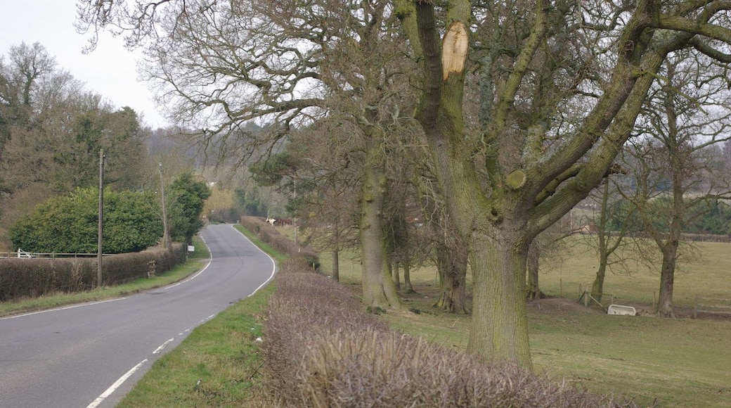 Tilburstow Hill Road, South Godstone. Tilburstow Hill Road follows the course of a Roman road that ran from London to Portslade.