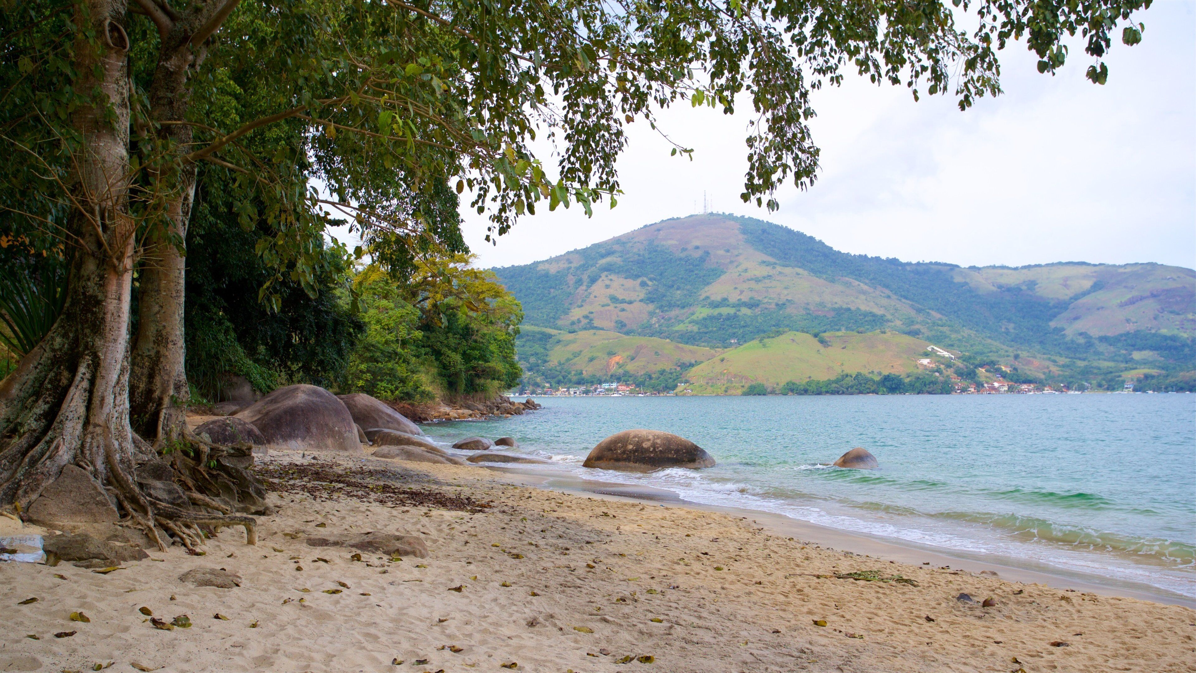 Eguas Beach featuring tropical scenes, a beach and general coastal views