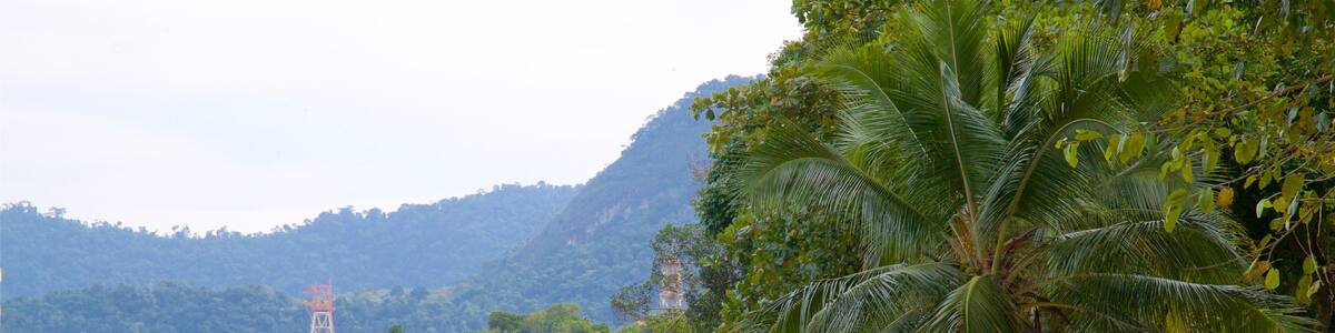 Plage Praia Da Egua mettant en vedette vues littorales, scènes tropicales et plage de sable