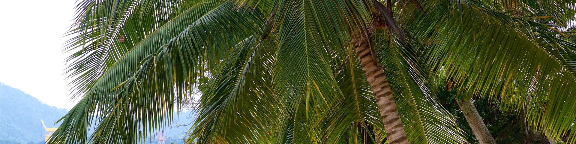 Eguas Beach which includes general coastal views, a sandy beach and tropical scenes