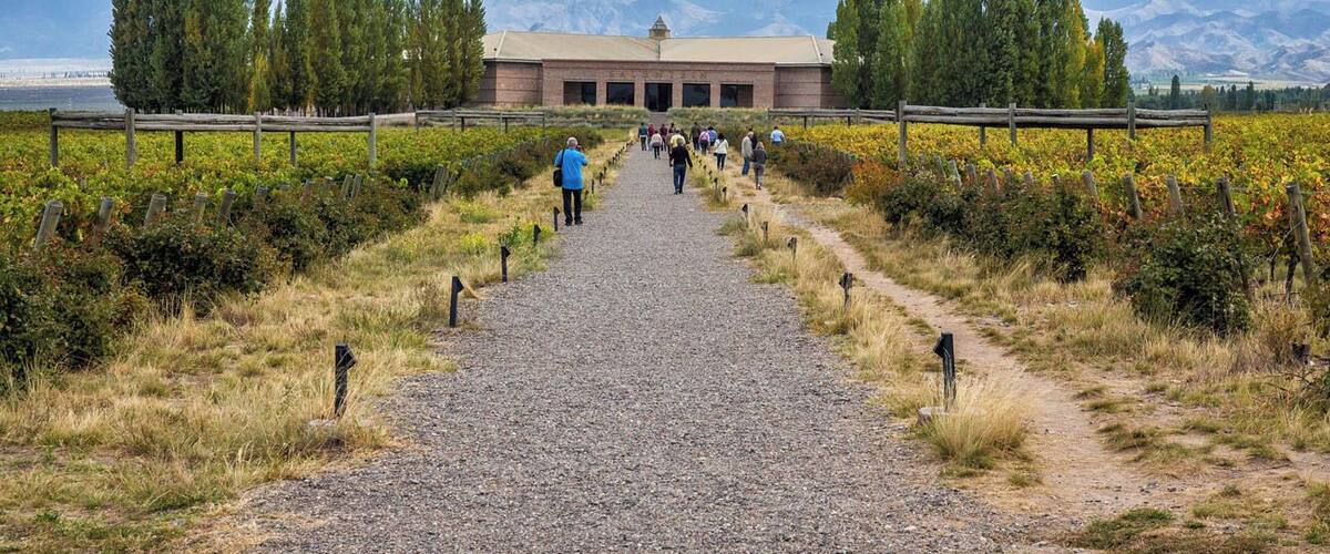 Salentein winery in Mendoza, Argentina. Salentein is one of the largest wine producers in the Mendoza wine region. Located in Uco Valley, it is an hour and a half drive from the city of Mendoza, but coming here is worth the drive. Salentein has one of the largest, most interesting wine cellars in the region and is definitely worth the visit for wine lovers. Read more: http://www.earthtrekkers.com/mendoza-wine-region-how-to-plan-visit/ #wine #mendoza