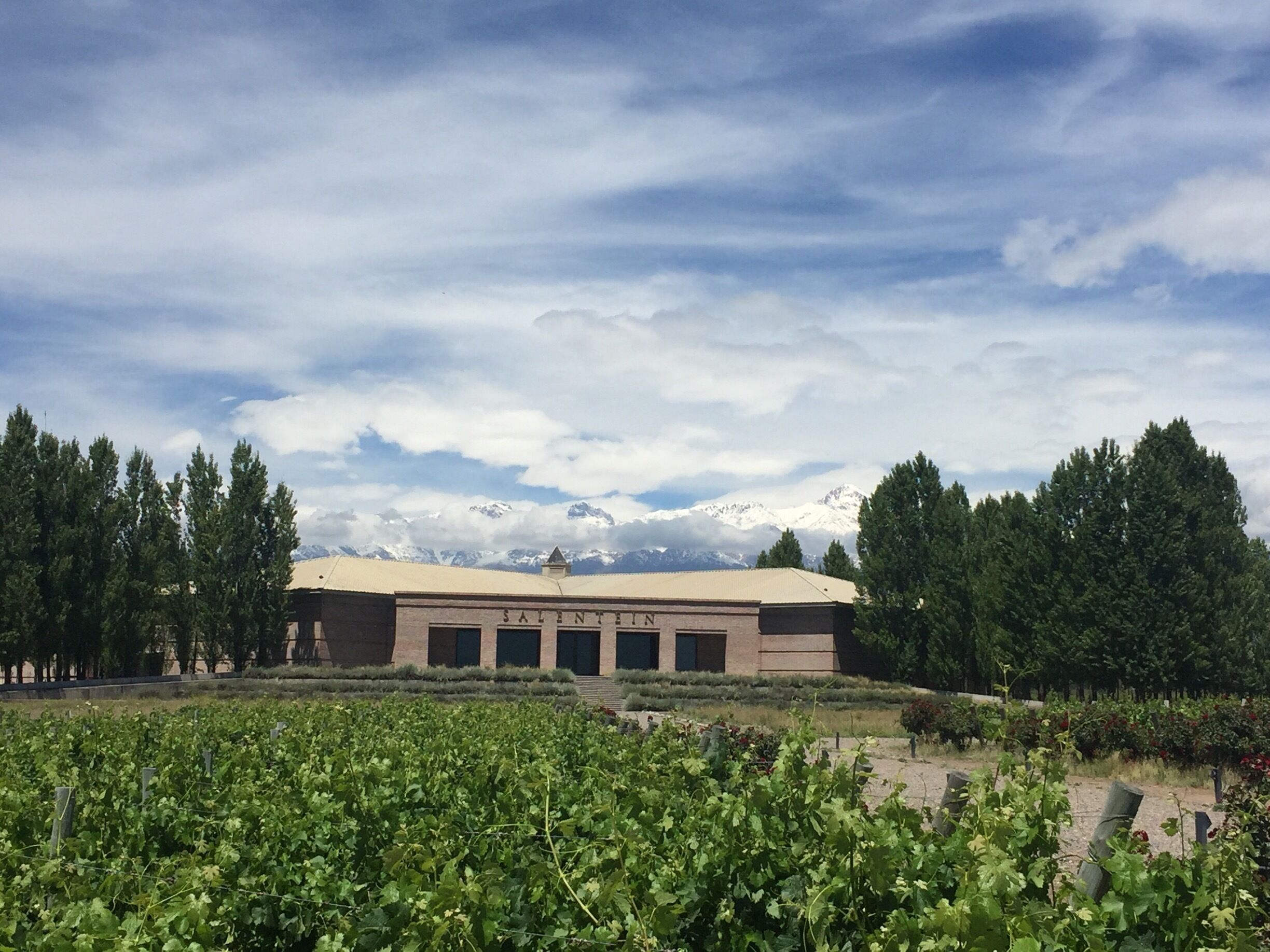 A building with 'SALENTIN' on its facade, surrounded by a vineyard and a mountainous backdrop.